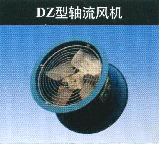 DZ